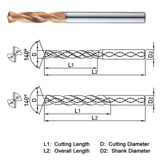 SF503069